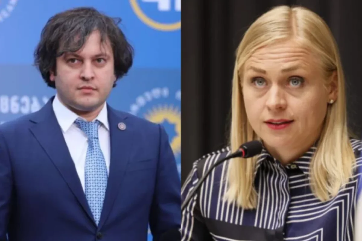 Kobaxidze ATƏT-in sədri ilə görüşünü ləğv etdi