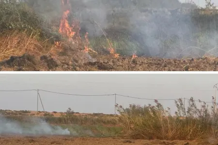 Zərdabda yanğın törədən şəxs məsuliyyətə cəlb olundu