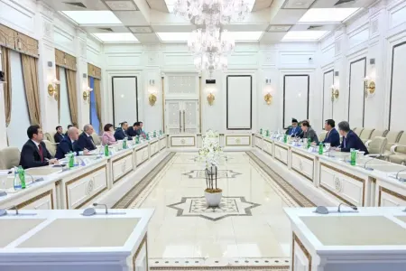 Sahibə Qafarova ICAPP-ın nümayəndə heyəti ilə görüşdü - Foto