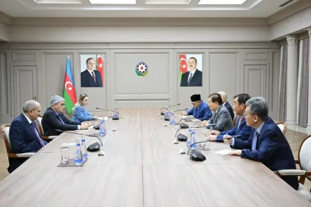 Samir Şərifov ICAPP Daimi Komitəsinin nümayəndə heyəti ilə görüşdü