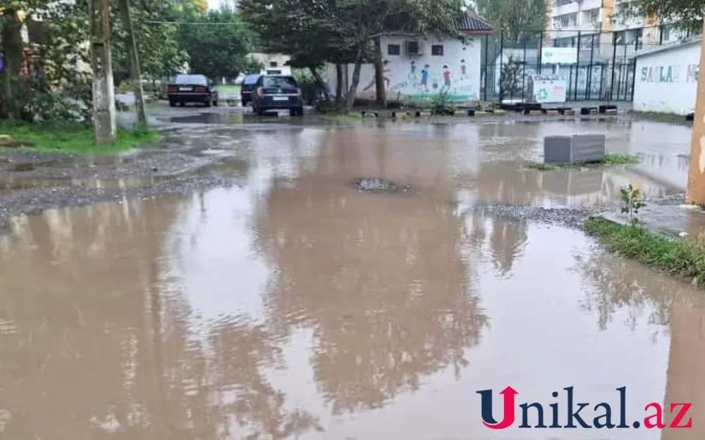 Lənkəranda evləri su basdı