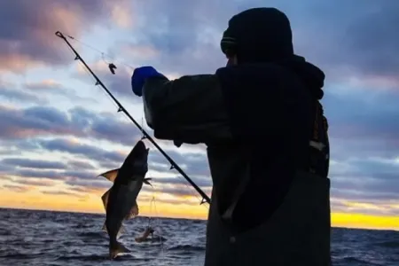Qanunsuz balıq ovu ilə məşğul olanlar saxlanıldı