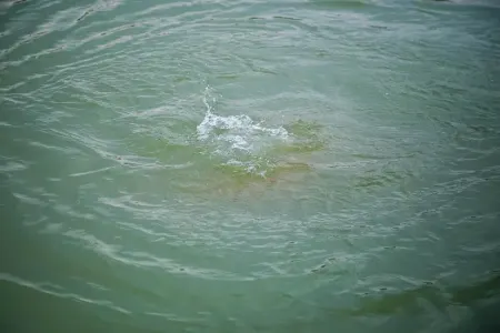 Samur-Abşeron su kanalında bir nəfər batdı