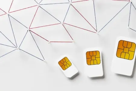 Bu telefon nömrəsi hərracda sahibinə milyonlar qazandırdı