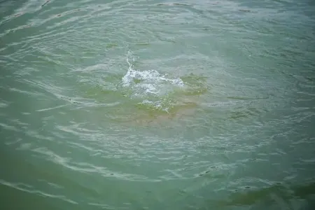 Bakıda 1 nəfər süni göldə batdı