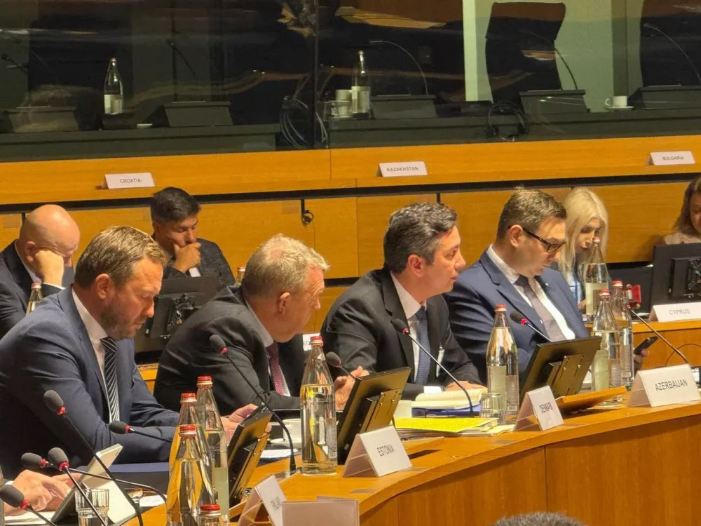 Yalçın Rəfiyev Aİ-nin xüsusi yüksək səviyyəli toplantısında iştirak etdi