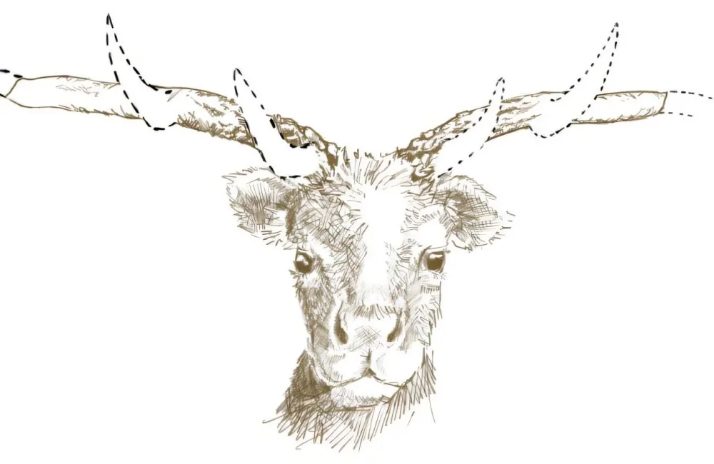 50 illik sirr açıldı