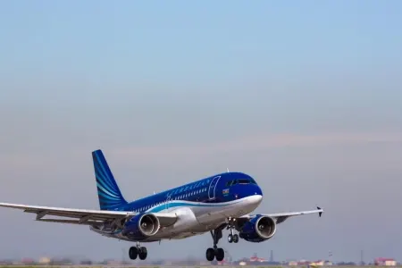 AZAL qəzasının araşdırma nəticələri nə zaman açıqlanacaq?