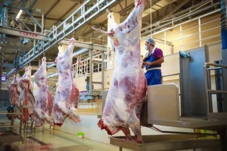 Ət alarkən bunlara diqqət yetirin - Video