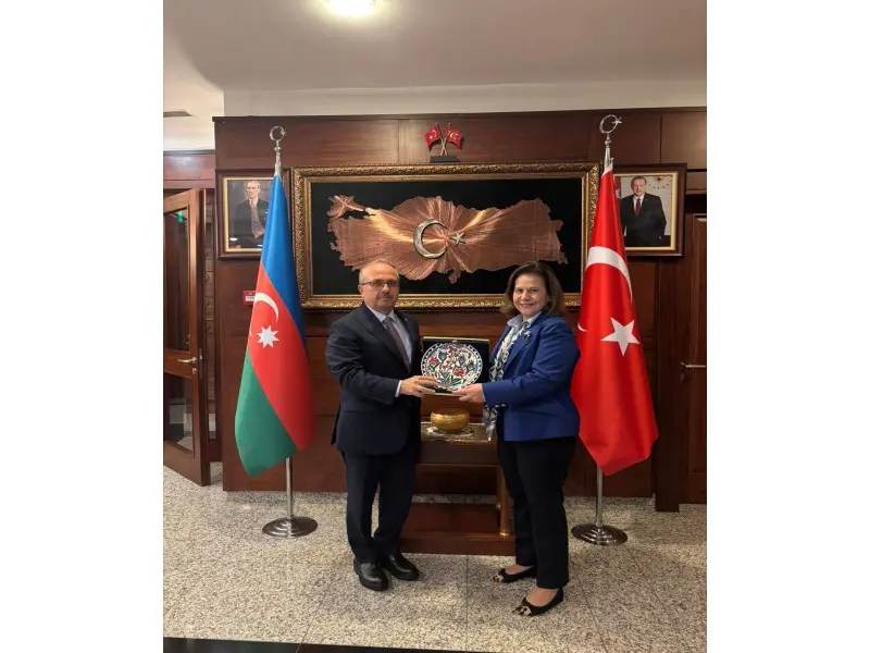 Hakan Fidanın müavini Bakıya gəldi - Fotolar