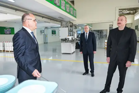 Prezident Sabirabaddadır - Foto