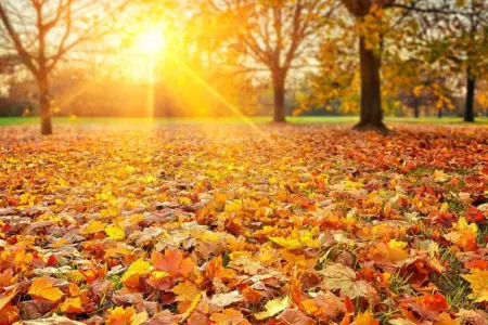 Sabah 25 dərəcə isti olacaq