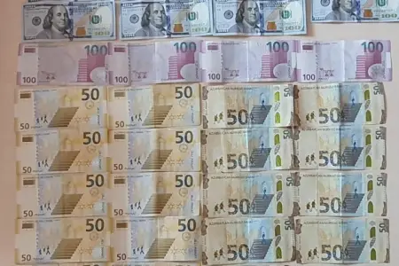 Naxçıvanda Göyərçin evdən oğurluq edib