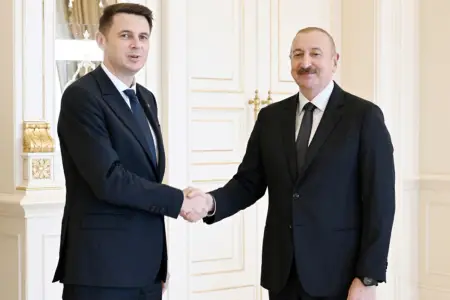 Prezident onu qəbul etdi - Fotolar