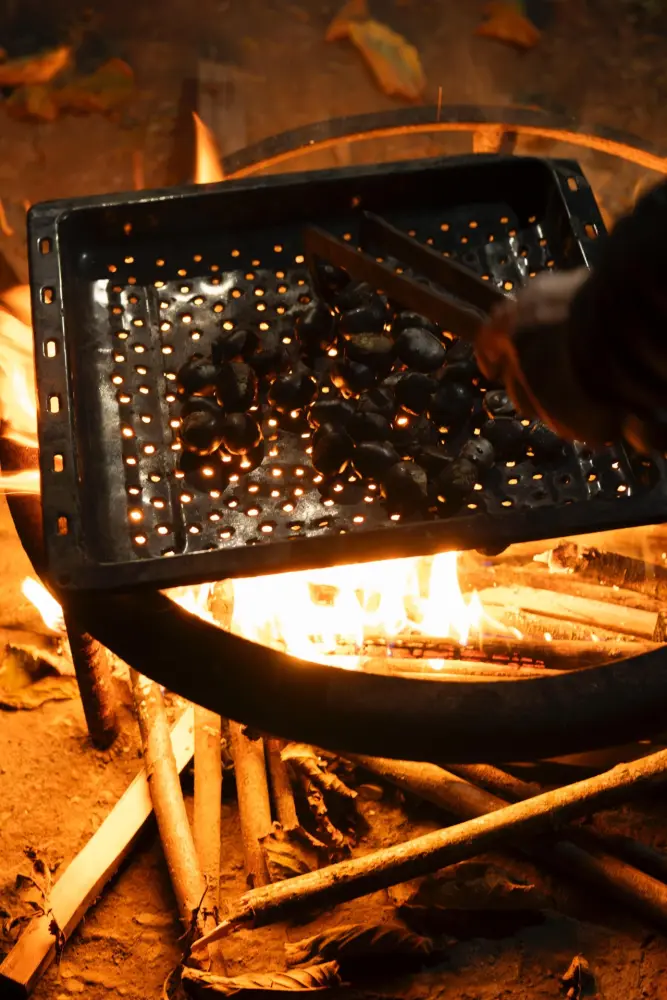 Leyla Əliyeva “Gənc arıçı” layihəsinin iştirakçısı ilə görüşdü - Fotolar