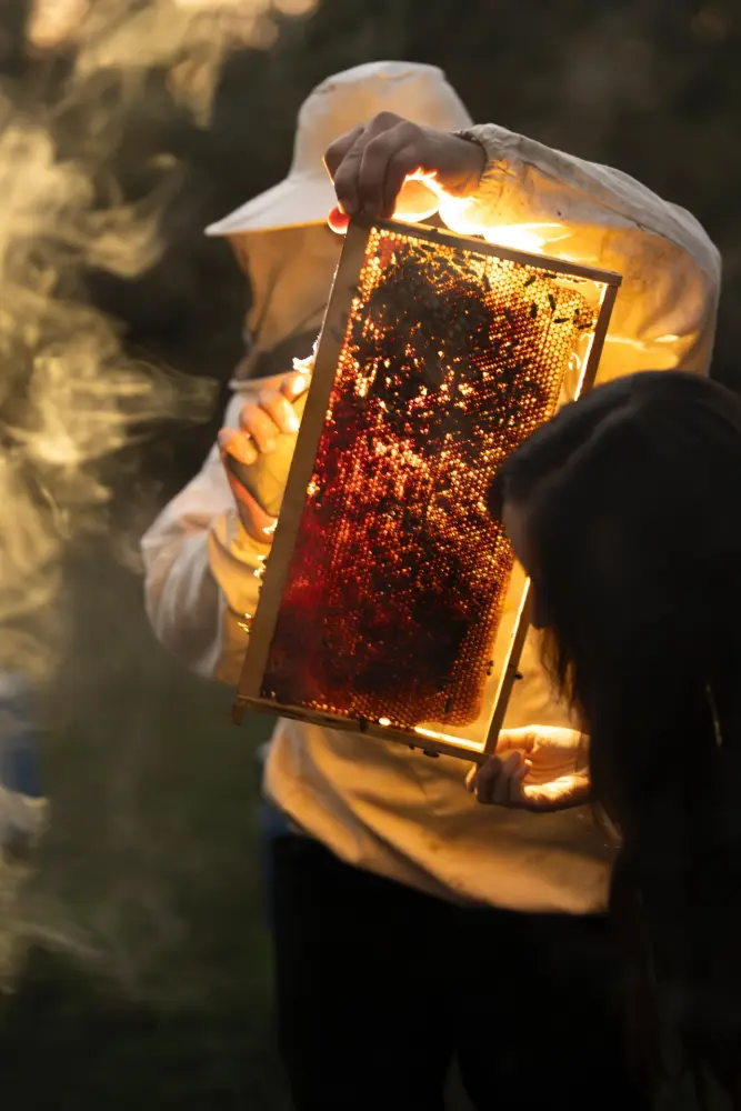 Leyla Əliyeva “Gənc arıçı” layihəsinin iştirakçısı ilə görüşdü - Fotolar