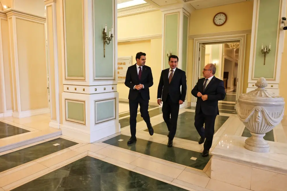 TİKA sədri Hikmət Hacıyevlə görüşdü