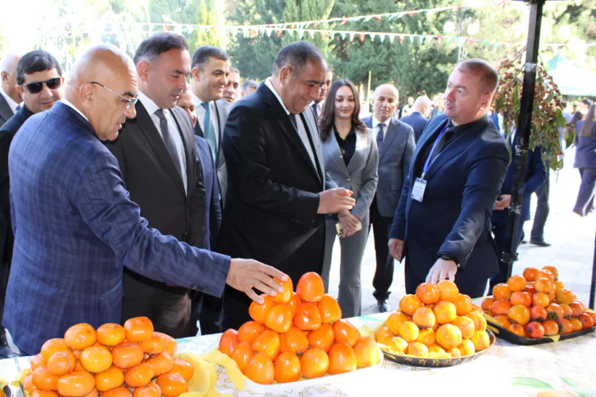 Sabiq icra başçısı dünən festivalda imiş... - Fotolar