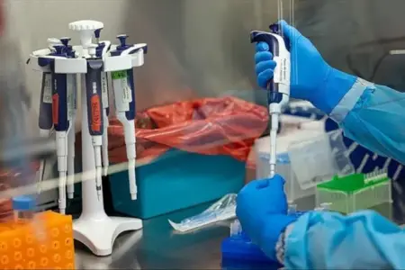 Yeni təhlükə yaxınlaşır: Ölümcül virus dörd qitəyə yayıldı