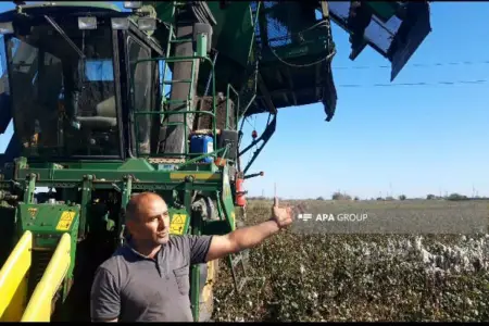Biləsuvarda pambıq sahəsində yanğın baş verdi- Foto