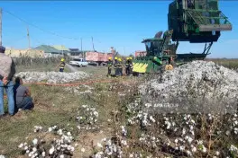Biləsuvarda pambıq sahəsində yanğın baş verdi- Foto