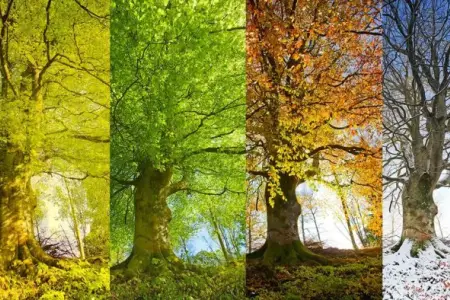 Dağlarda qar, bölgələrdə 34 dərəcə isti - Oktyabrın havası 