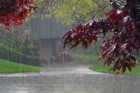 Yağış yağacaq, dolu düşəcək... - Sabahın havası