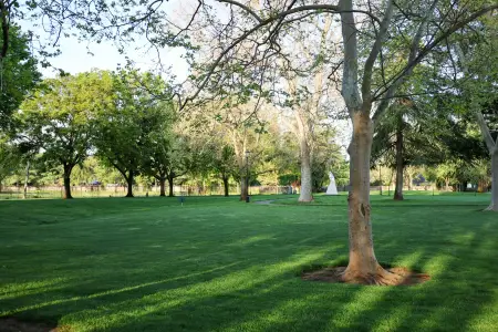 Bakıda parkda faciəvi hadisə 