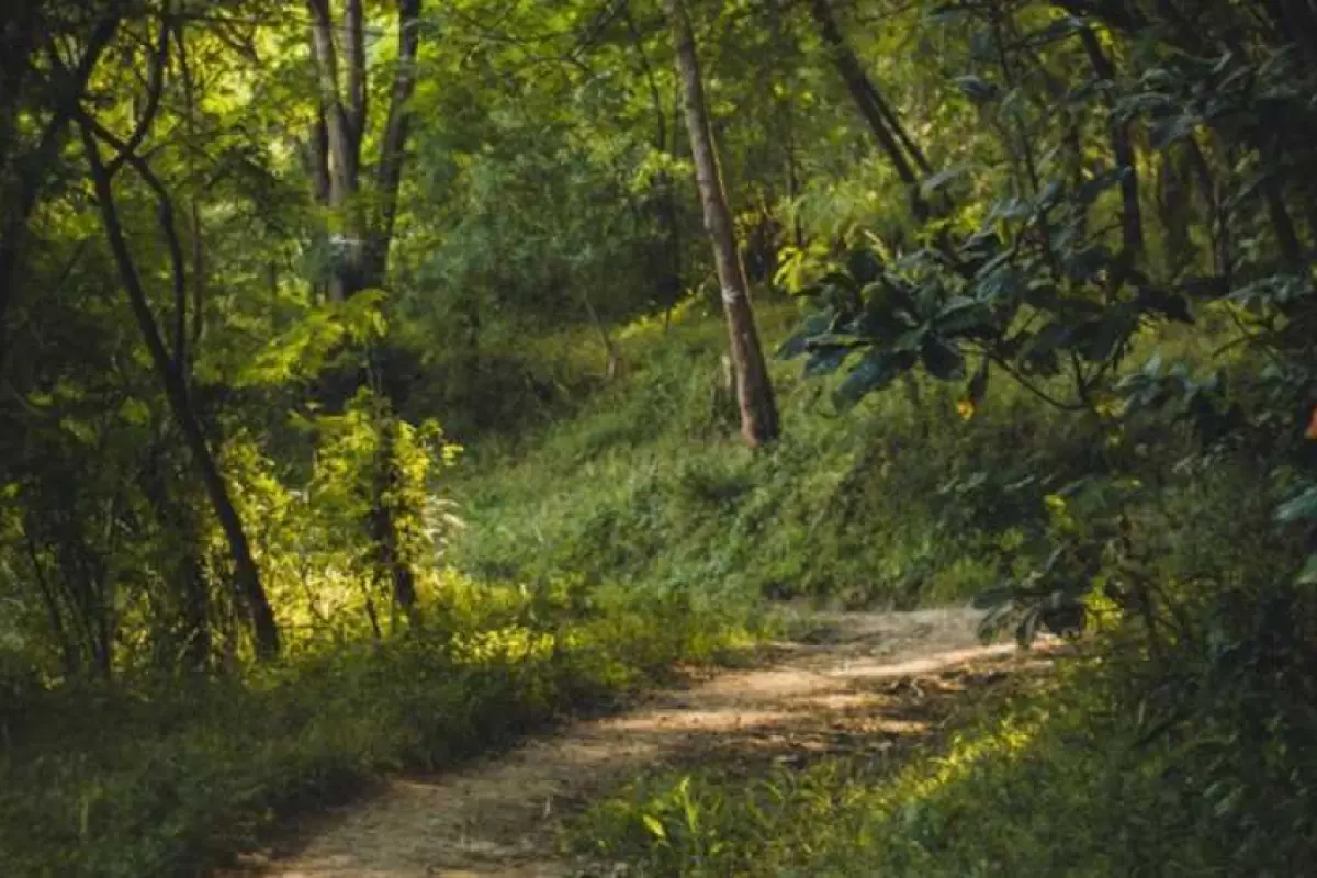 Gəzintidə gizli xəzinə tapdılar