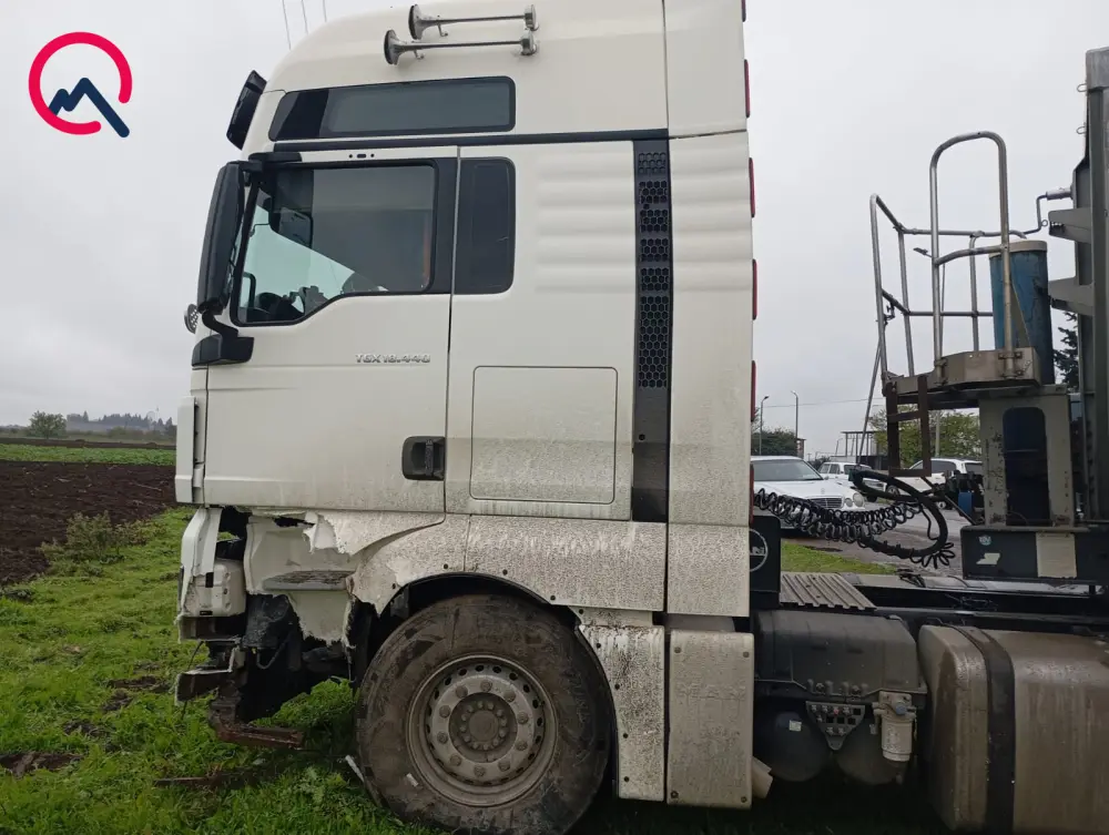 Yola çıxan at ağır qəzaya səbəb oldu - Foto