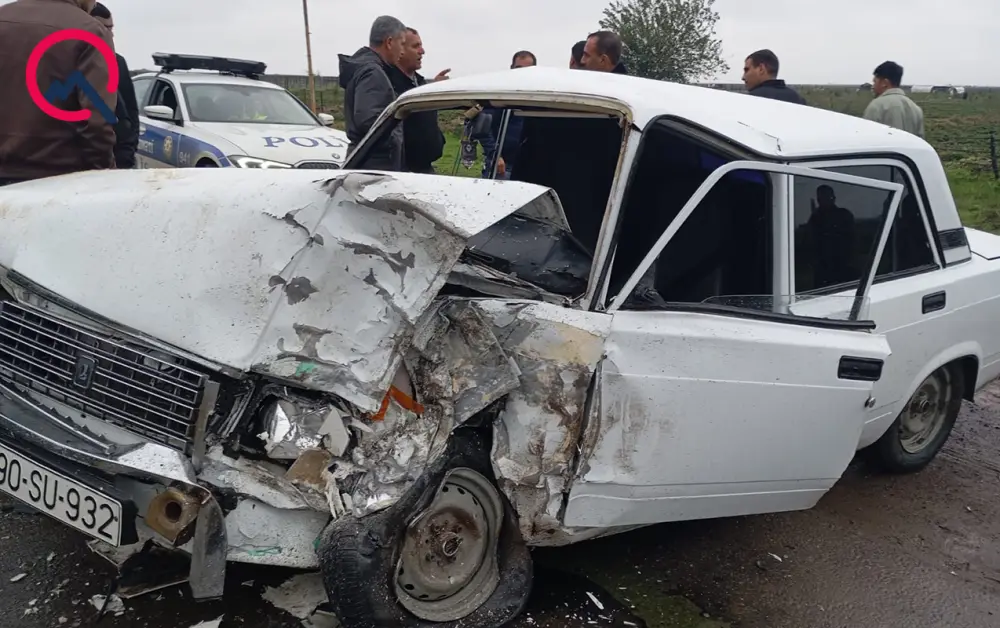 Yola çıxan at ağır qəzaya səbəb oldu - Foto