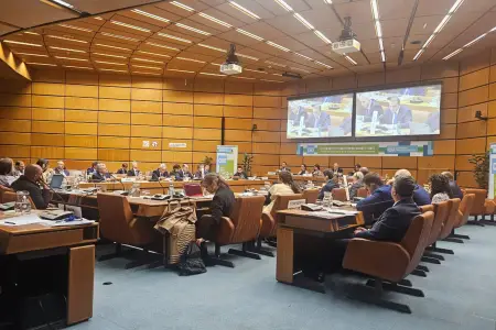 Vyanada mühüm toplantı: Azərbaycan beynəlxalq səviyyədə fəaliyyətini təqdim etdi