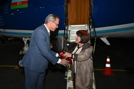 Sahibə Qafarova COP30-da iştirak edəcək