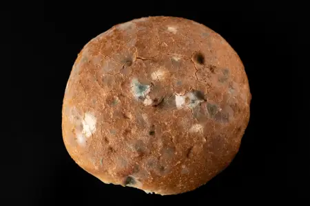 Marsdan gələn daşda insan izləri tapıldı