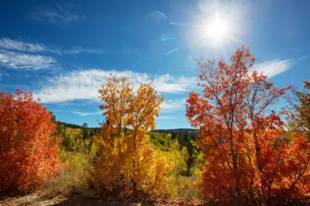 Sabah 23 dərəcə isti olacaq