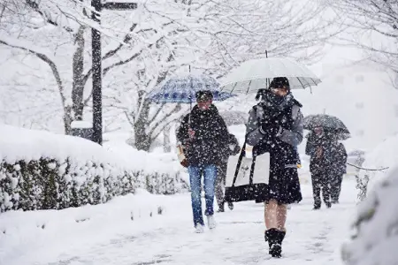 İlin ən ideal qarı bu bölgəyə yağacaq