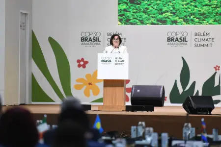Sahibə Qafarova COP30-da çıxış etdi - Fotolar