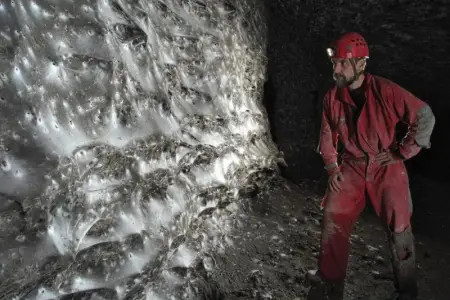 111 min hörümçək bir araya gəldi, mümkünsüz görüntü yarandı
