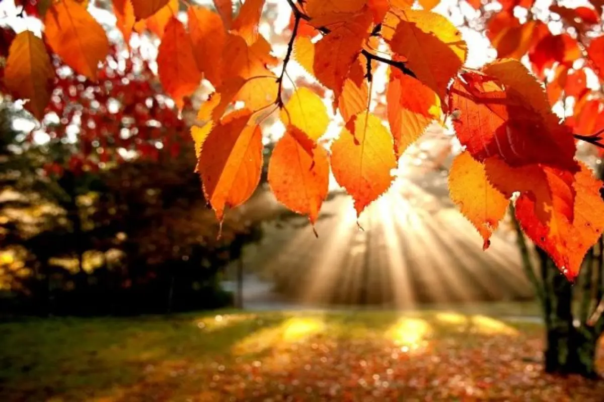 Bazar günü 23 dərəcə isti olacaq