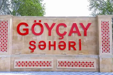 Göyçay şəhərində ənənəvi "Nar Festivalı" keçirildi