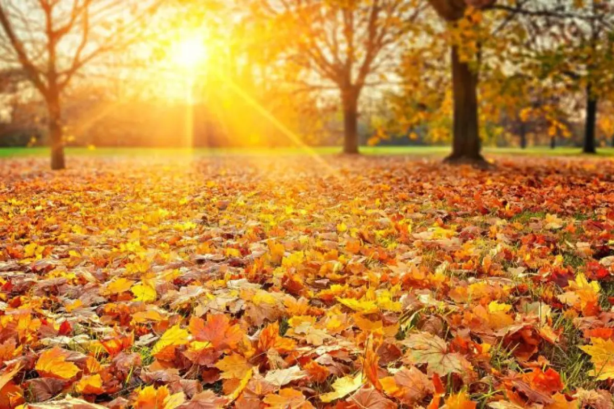 Sabah 24 dərəcə isti olacaq