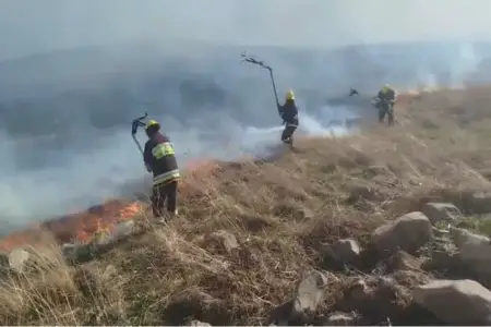 Dağlıq ərazidə yanğın başladı - Video 