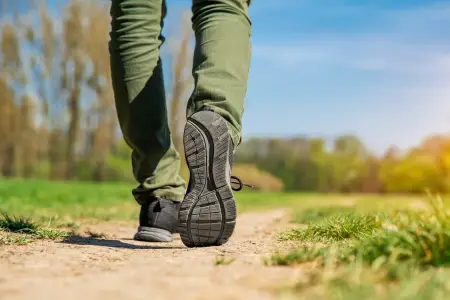 Xəstəlik vərəqəsi alıb gəzintiyə çıxdı, işindən oldu 