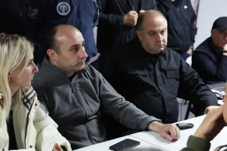 "Təyyarənin bütün əsas hissələri tapılıb" - Gürcüstanın müdafiə naziri