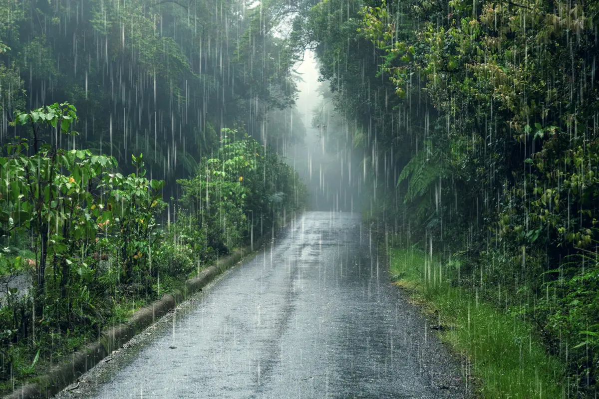 Leysan olacaq, şimşək çaxacaq - XƏBƏRDARLIQ