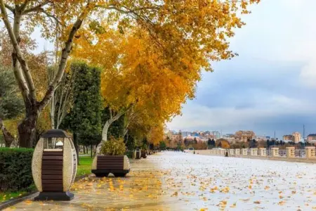 Bazar gününə olan hava proqnozu