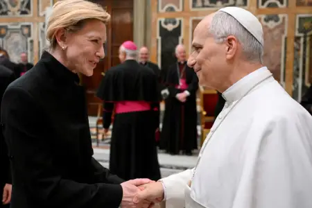 Hollivud ulduzları Vatikanda: Papa görüş keçirdi – Fotolar