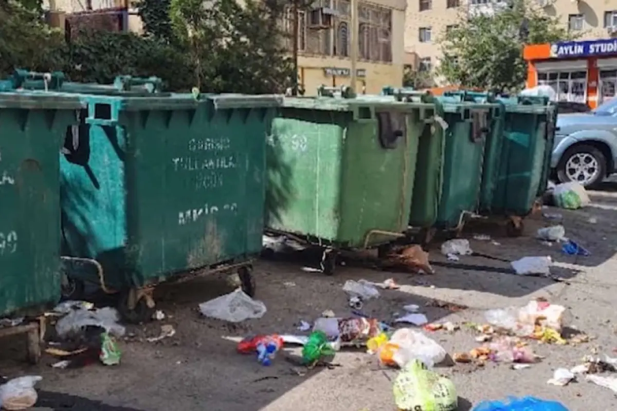 Lənkəranda zibillikdə meyitlər tapıldı