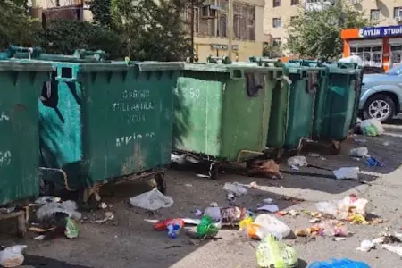 Lənkəranda zibillikdə meyitlər tapıldı