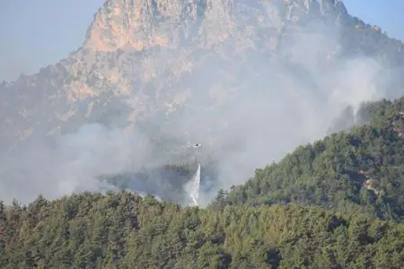 Azərbaycan-Ermənistan sərhədində yanğın baş verdi
